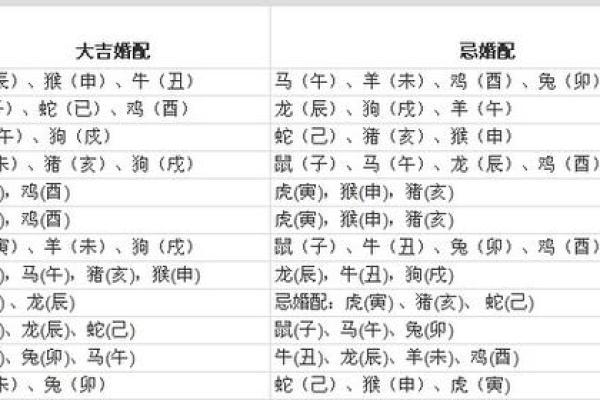 生肖配对秘籍：揭秘你的最佳伴侣生肖