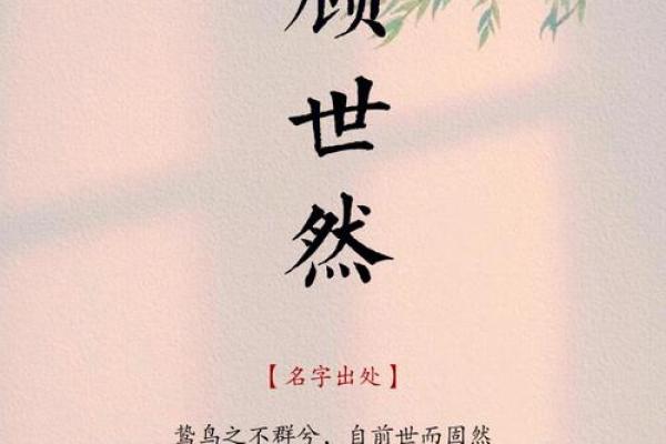 探索“淋”字在名字中的深层寓意和文化价值
