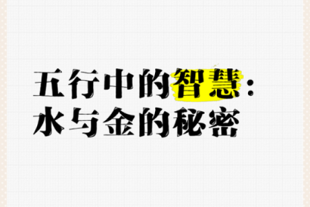 探索利五行：改变命运的五行智慧