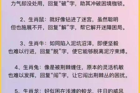 生肖密码大揭秘：揭开十二生肖的神秘面纱