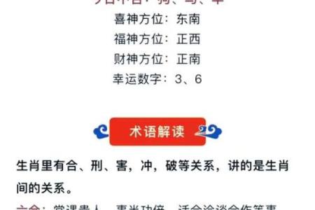面相识人心：揭秘十二生肖运势，揭秘你的财运与事业