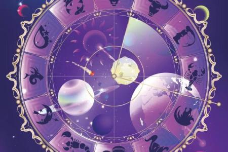 星座碎片树揭秘十二星座背后的神秘力量