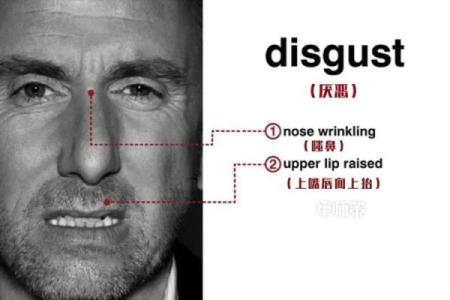 面相揭秘：智商高低的秘密，一眼识破