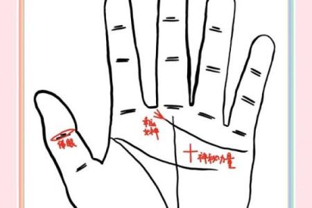 一招揭秘：看手相，读懂命运的秘密