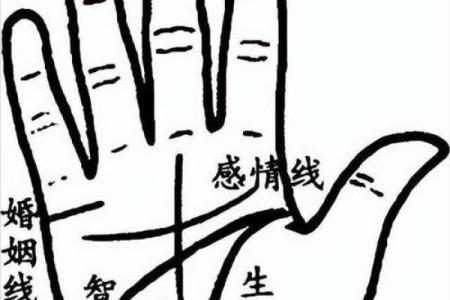 手纹奥秘大揭秘：双线掌纹，财运亨通的秘密