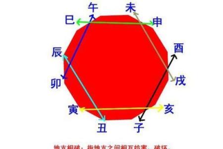 生肖破月：揭秘十二生肖背后的神秘力量