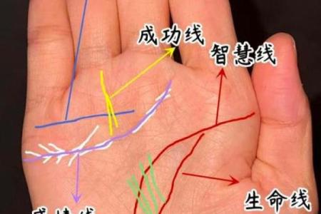 揭秘女性婚姻线：手相中的爱情密码，一图读懂你的幸福走向