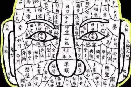土带水面，揭秘面相中的富贵密码
