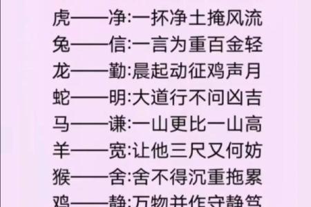 生肖运势揭秘：揭秘十二生肖的命里乾坤