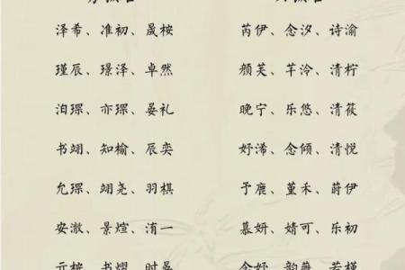 为姓周的男孩选择一个有力量的名字