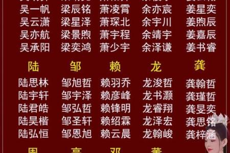 起名字锦：为宝宝量身定制一个最适合的名字