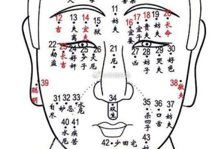 肉瘊面相揭秘：面相大师教你如何识别运势旺衰