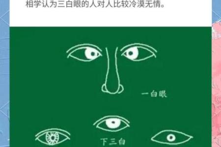 眼白如雪，面相解析：揭秘高智商与纯真气质的神秘关系