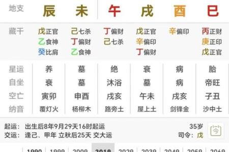 酉时五行属于金？了解这一时辰的五行属性