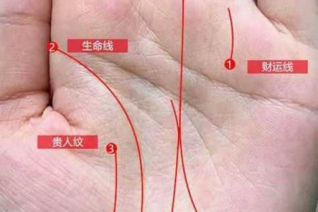 桃花运势尽在手心揭秘手相中桃花线，助你掌握爱情主动权