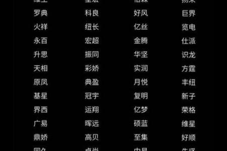 免费公司名字大全，精准命名助力品牌成功