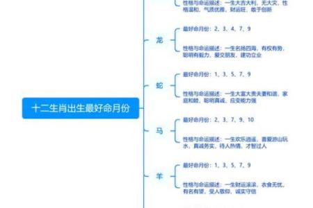 命理解析：探索出生在这个月的命运密码