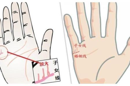 手相揭秘：掌握这几个关键部位，帮你精准预测最佳生育时机