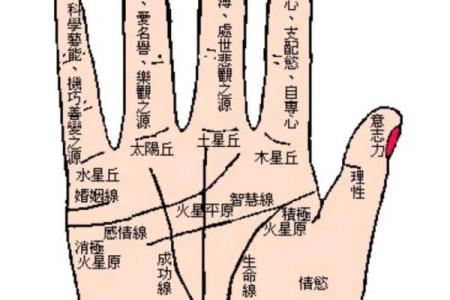 揭秘克夫手相：这些纹路暗示命运，你中招了吗？