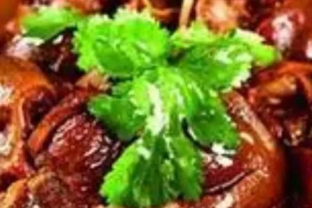 狗肉新搭档，解锁美味新境界