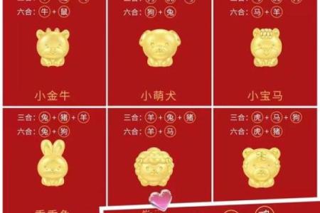 十二生肖皆宝：揭秘每个生肖的神奇魅力
