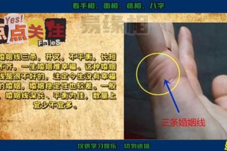 手相解析婚姻运势 揭示你爱情未来的秘密