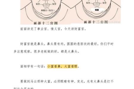 鼻上藏珠，财运亨通，痣相解析来袭