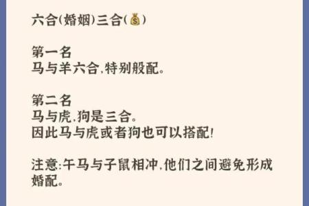 猪马相配：揭秘生肖搭配的神奇魅力