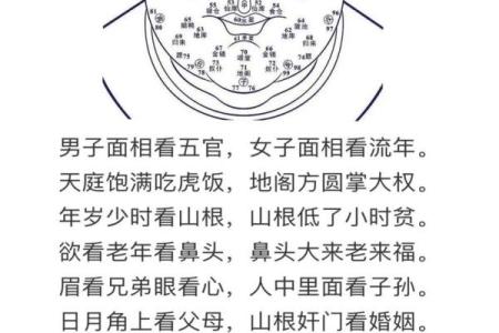 揭秘面相秘密：一眼看穿命运，揭秘你的人生运势