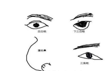 怒火藏心：揭秘易怒面相背后的惊人秘密
