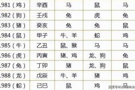 属相配科学揭秘：揭秘生肖配对背后的科学原理