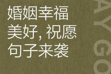 兔狗配：揭秘长长久久婚姻的秘诀