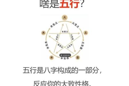 何五行属什么？五行解析全揭秘