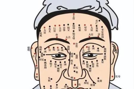 痣相揭秘：麻衣神相教你识人断命