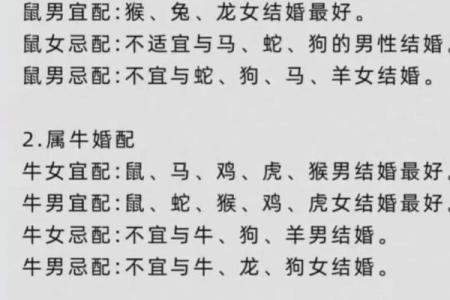 羊男遇马女，爱情火花四溅？
