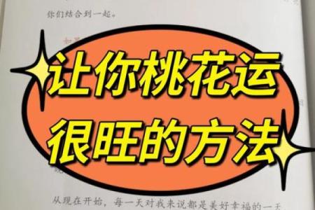 精准命里相配，揭秘你的最佳伴侣