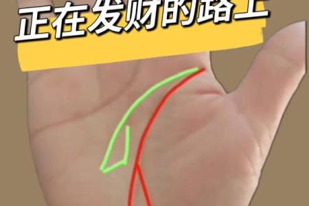 神秘发财手：痣相中的财运密码