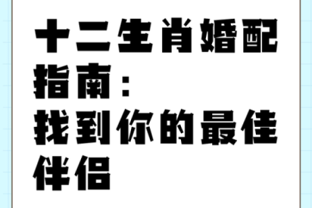 属相相配，婚姻更美满揭秘十二生肖的最佳伴侣