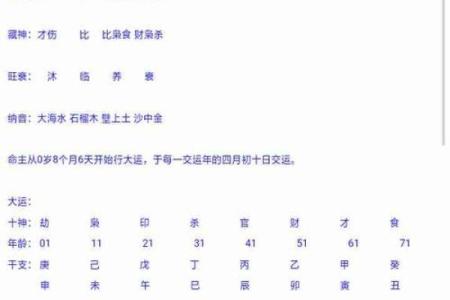 四柱八字在线排盘，轻松预测人生运势！