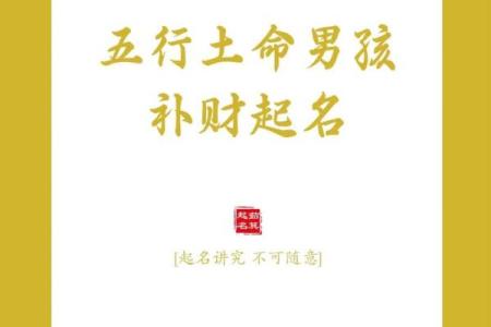 1990年：揭秘土命年，揭秘土命人的命运奥秘