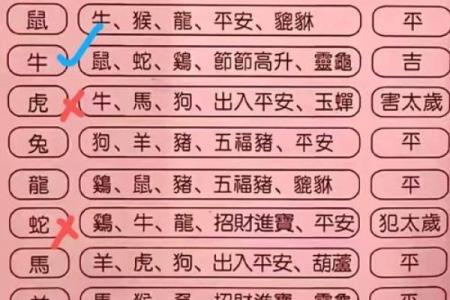 灶猜一生肖，揭秘你的生肖秘密