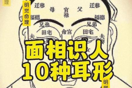 耳朵形状揭示命运：揭秘面相中的神秘密码