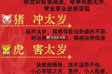 面相冲天：揭秘12生肖运势巅峰，你的人生巅峰在何时？