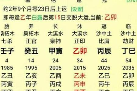 揭秘命理带金多少，事业运势的关键！