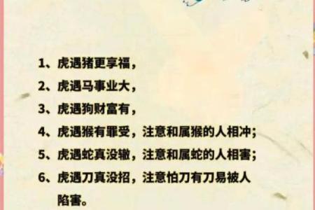 生肖缘分配对榜：揭秘你的天生贵人是谁？