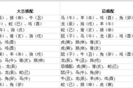 生肖配对秘籍：揭秘你的最佳伴侣生肖
