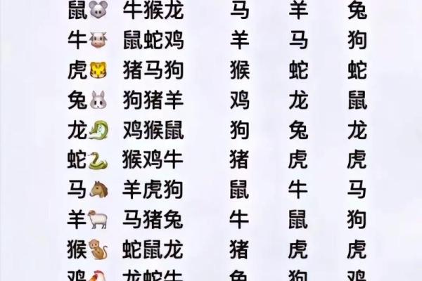 揭秘生肖配对奥秘，你的幸福婚配指南在这里