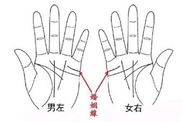 手相揭秘：你的爱情线揭示了谈了几次恋爱？