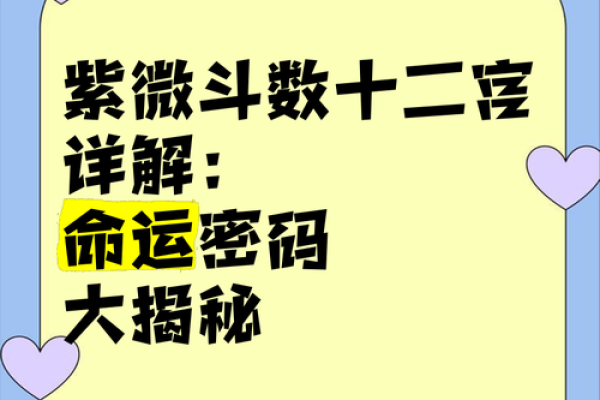 掌握紫薇飞星排盘技巧，轻松解锁个人命运密码