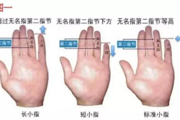 揭秘手相小拇指下神秘线条，运势吉凶一探究竟